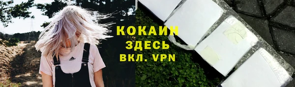 гидра Армянск