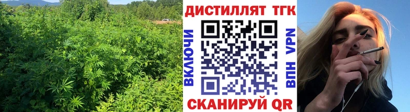 Дистиллят ТГК концентрат  купить закладку  Пустошка 